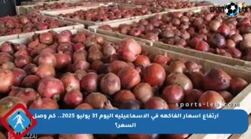 ارتفاع أسعار الفاكهة في الإسماعيلية اليوم 31 يوليو 2025.. كم وصل السعر؟